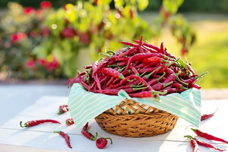 peperoncino benefici salute