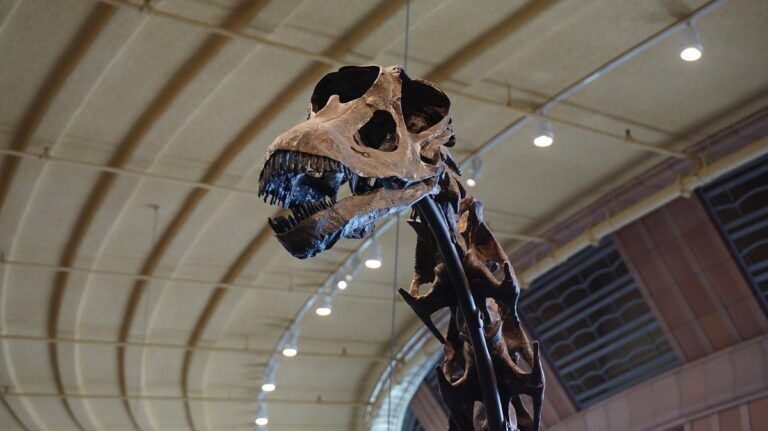 scienza collo dinosauro