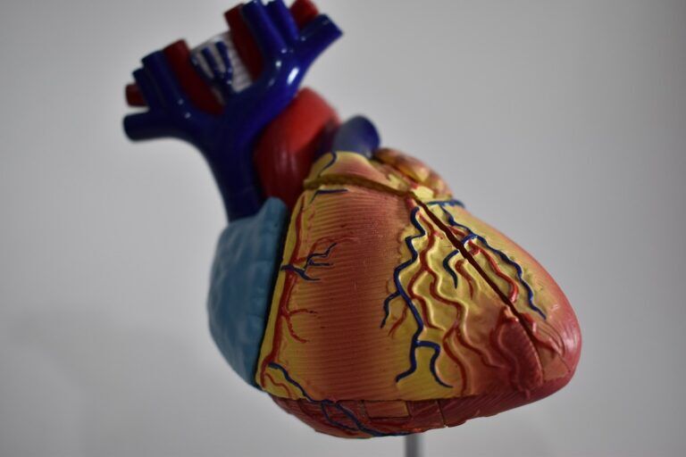 cuore valvola trattamento