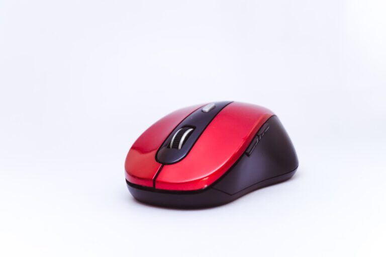 mouse