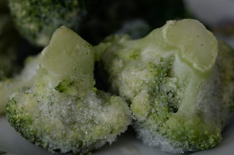 alimenti-congelati