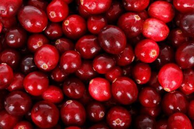 mirtillo rosso infezioni donne