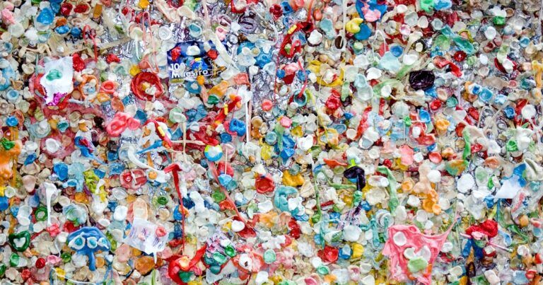 funghi-mangia-plastica-ambiente