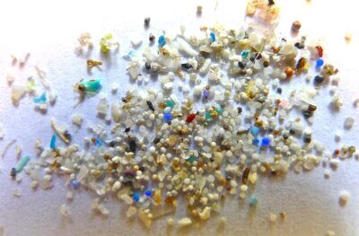 microplastiche nei fluidi corporei umani