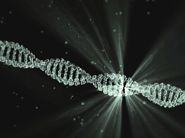 evoluzione umana DNA