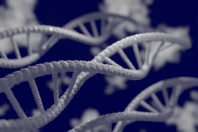 mutazioni genetiche cervello