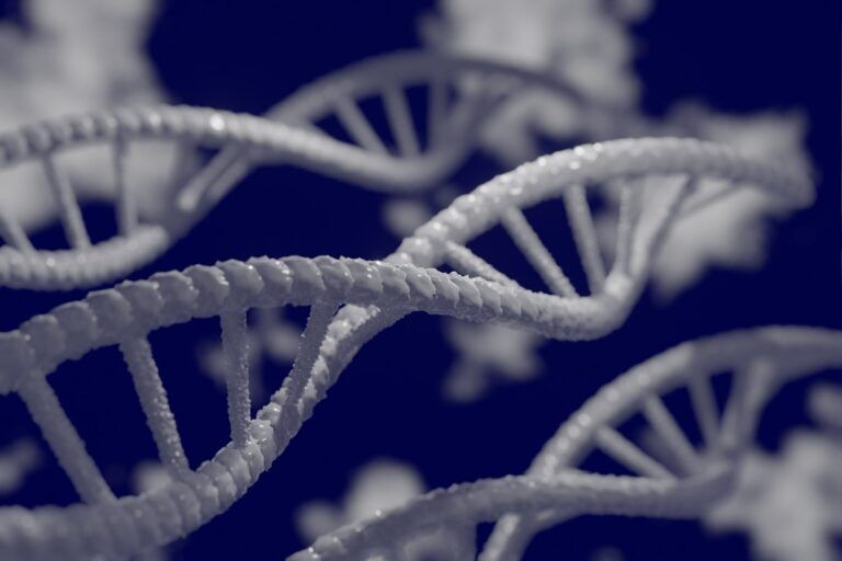 mutazioni genetiche cervello