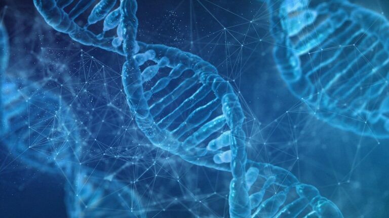 DNA a disposizione di tutti