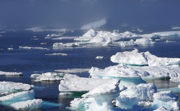 cambiamento climatico farina glaciale