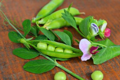 proteine per vegani e vegetariani