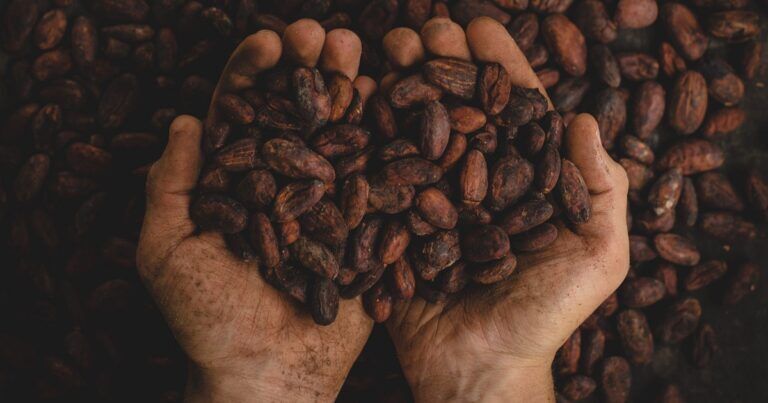 cacao-clima-effetto-serra