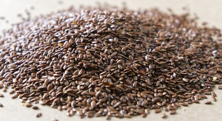 L’importanza di alcuni acidi grassi omega-3 per la salute