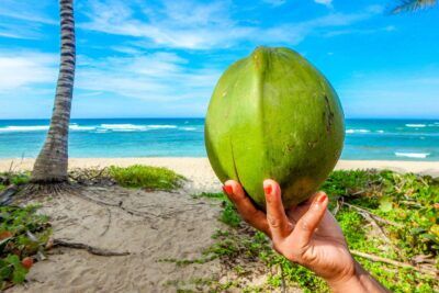 acqua di cocco benefici