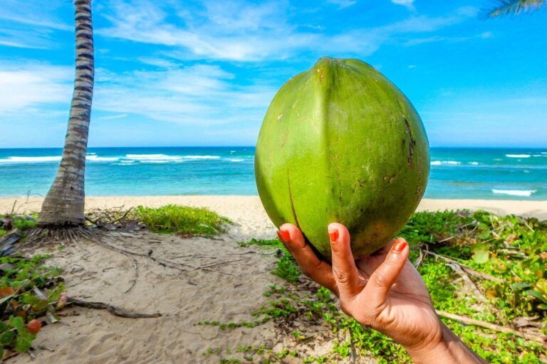 acqua di cocco benefici