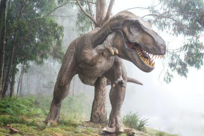 dinosauri-alimentazione