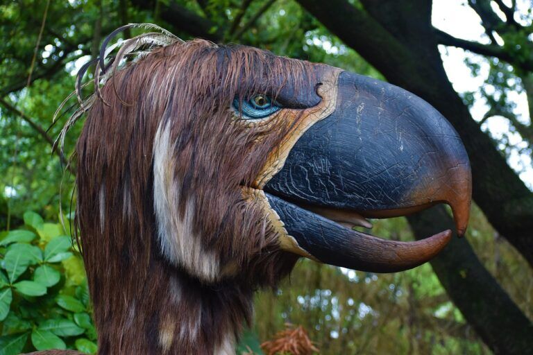 fossile del cretaceo
