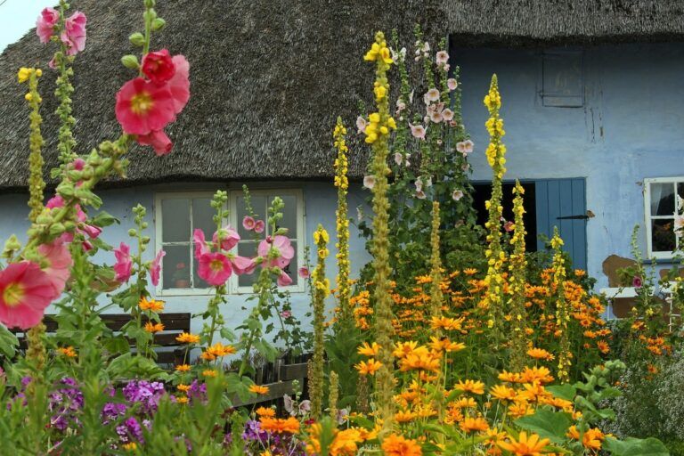 garden therapy benefici