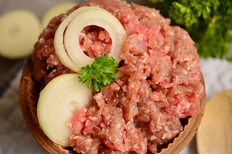 salmonella carne macinata