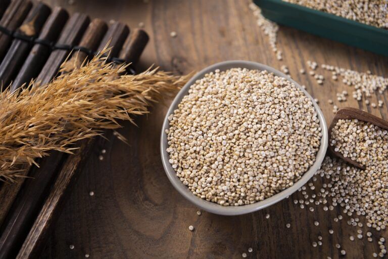 Quinoa: benefici e rischi per la salute