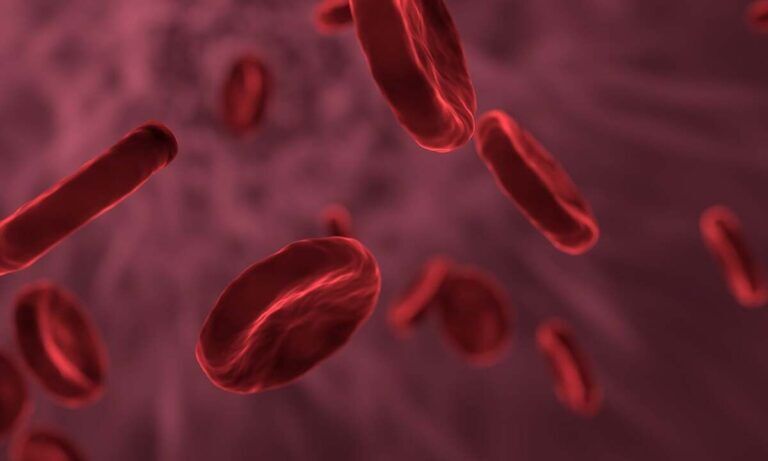 alzheimer sangue