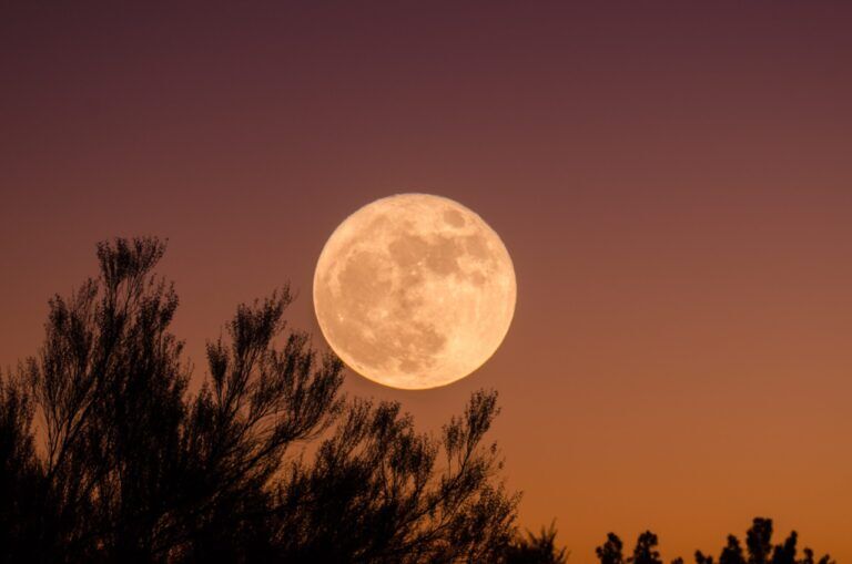 Prima superluna del 2023: anche questa sera il fenomeno ci terrà con gli occhi all’insù