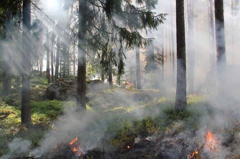 Grecia incendi cambiamento climatico