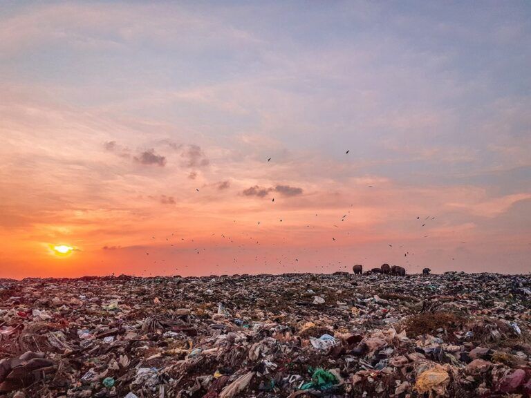 plastiche biodegradabili giardino