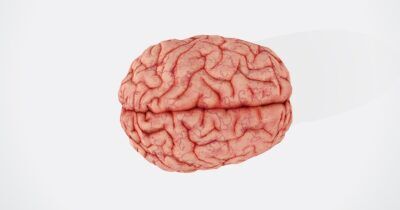 coma-cervello-riposta-attività