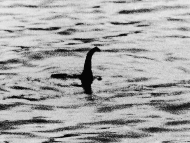 Esiste davvero il mostro del Lago Ness? Ecco i risultati della ricerca