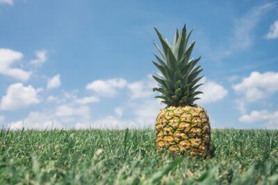 ananas rosa segreto colore