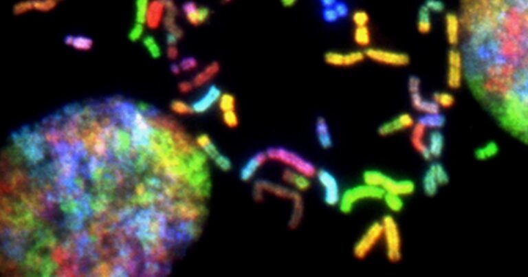 alzheimer-proteina-proteggere-malattia