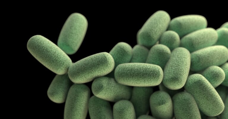 alzheimer-trasmissibile-microbioma-intestinale