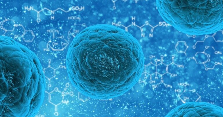 cellule-implodono-gene-proteina