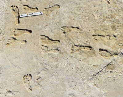 Le impronte del New Mexico appartengono a uomini vissuti 21.500 anni fa