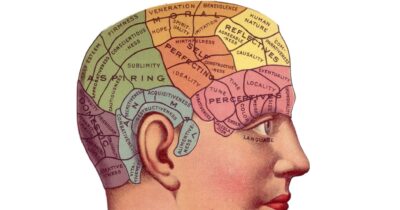 cervello-pieghe-forma-demenza