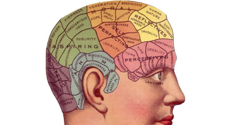 cervello-pieghe-forma-demenza