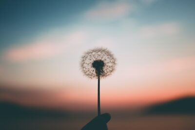 mindfulness