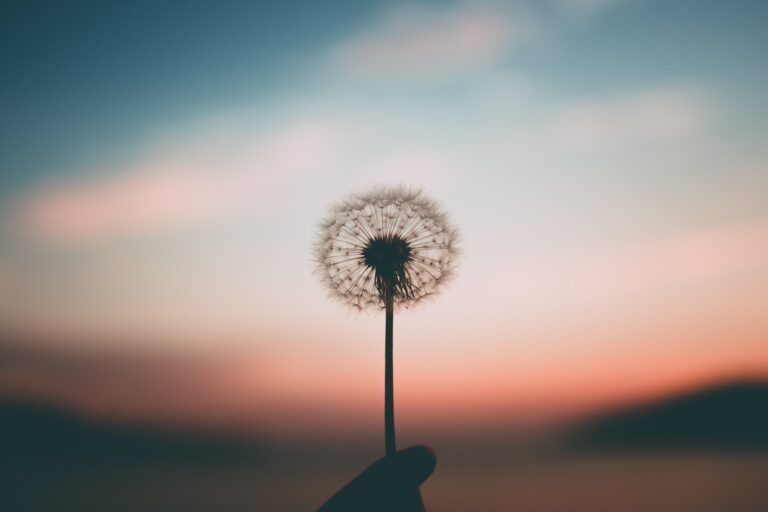 mindfulness