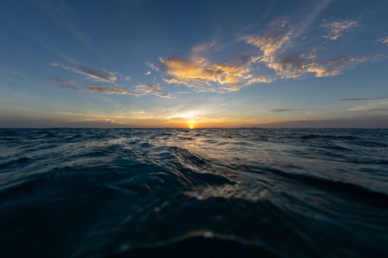 oceani