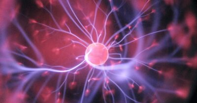 plastica-frammenti-organismo-parkinson