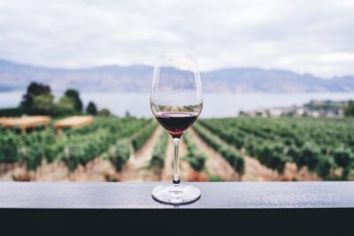 algoritmo-vino