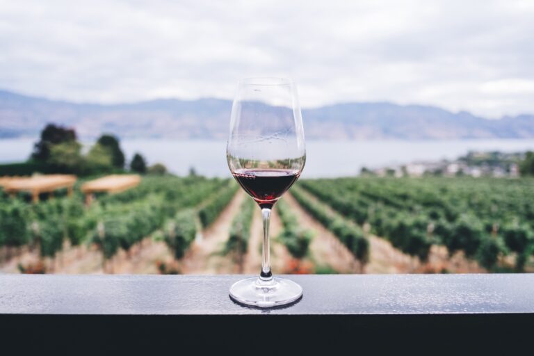 algoritmo-vino
