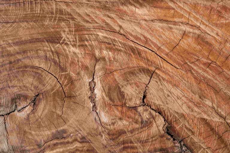 legno-trasparente