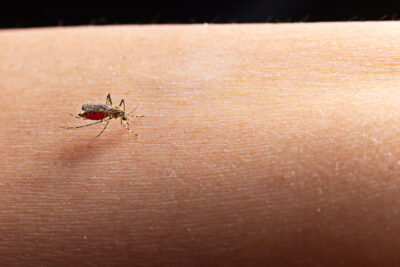 malaria cambiamenti climatici