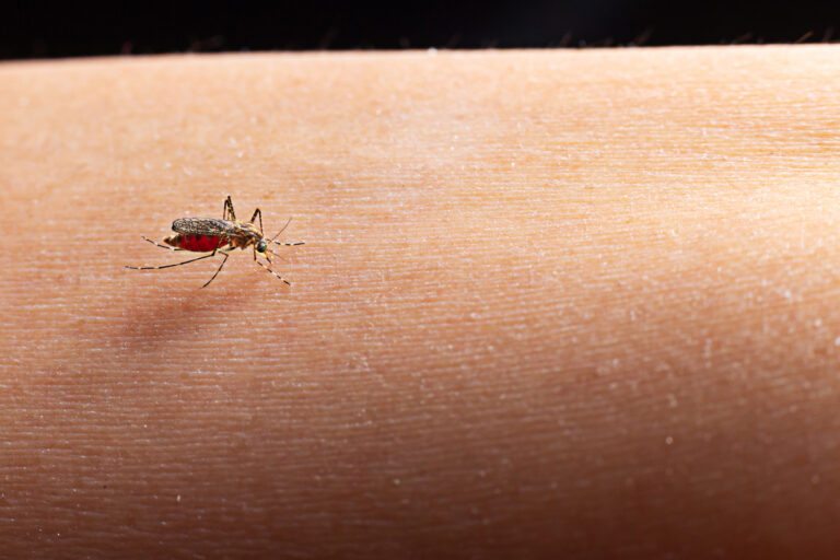 malaria cambiamenti climatici