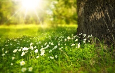 rigeneratività ambientale salute fisica mentale