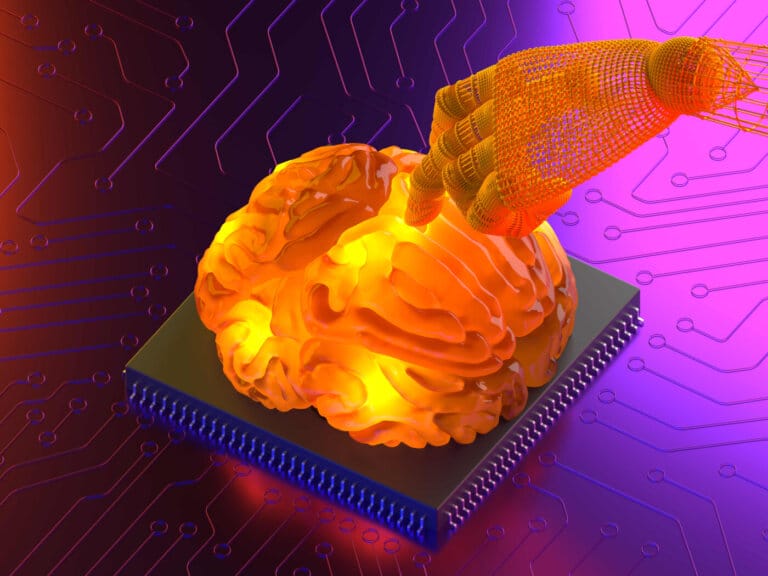 cervello-3d