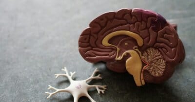 alzheimer-bloccare-proteina-malattia