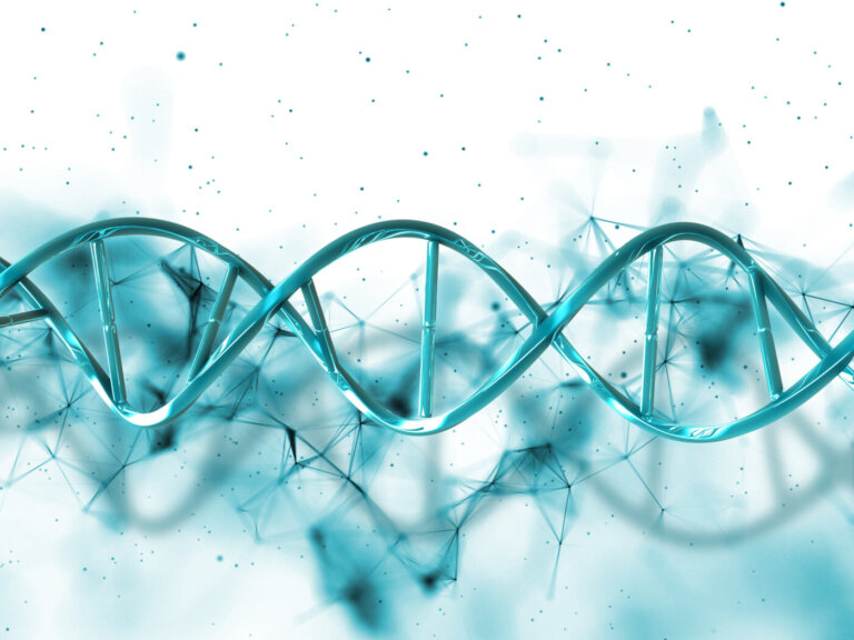 dna-lievito