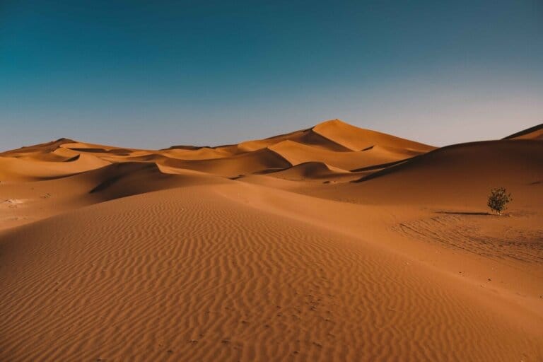 dune